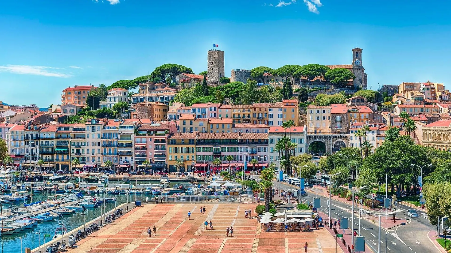 Cannes Gray D'Albion Studio Quiet Terrace City Center Near Beach 法国